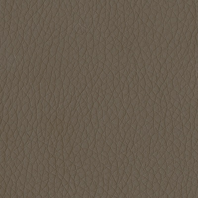 Grade C - Dillon Java